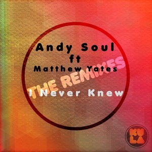 I Never Knew (The Remixes) [feat. Matthew Yates]