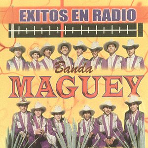 Exitos En Radio