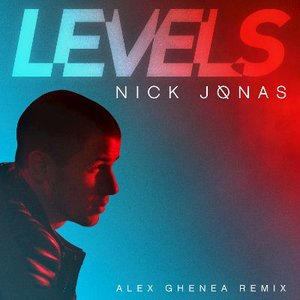 Levels (Alex Ghenea Remix)