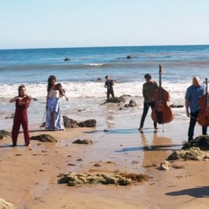 Awatar dla Vitamin String Quartet feat. Simply Three