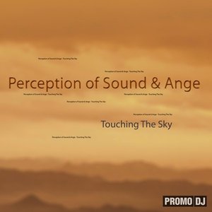 Perception Of Sound & Ange 的头像