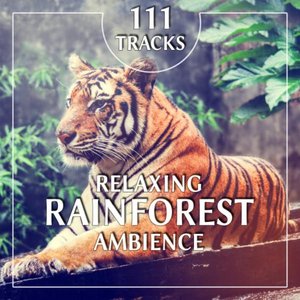 111 Tracks: Relaxing Rainforest Ambience, Powerful Sounds of Nature, Deep Healing Elements, Soothing Music to Relaxation, Yoga, Stress Relief, Meditation, Reiki and Sleep