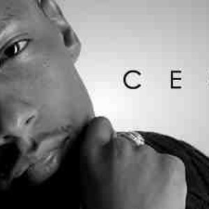 Cerose 的头像