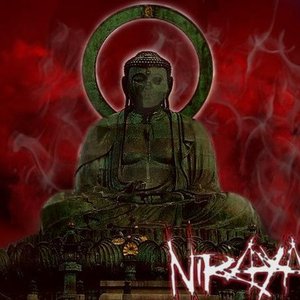 Niraya 的头像