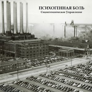 Социотехническое Управление