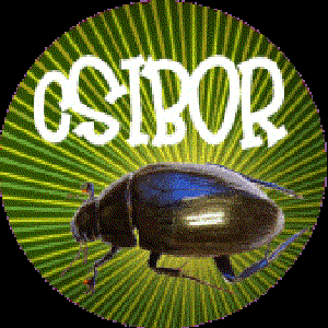 “csibor”的封面