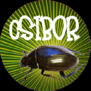 Avatar de csibor