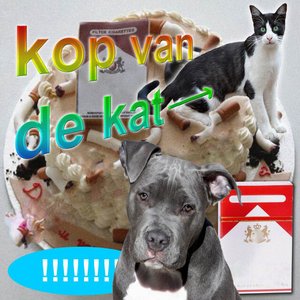 Kop Van De Kat