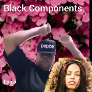 Black Components 的头像