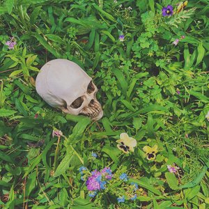 Decomposing - Single
