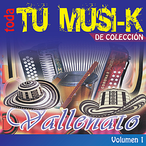 007 Mi presidio - Tu Musi-K Vallenato, Vol. 1 - Zortam Music