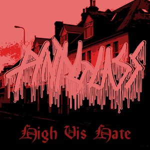 High Vis Hate - Single