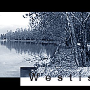 Avatar for Westis