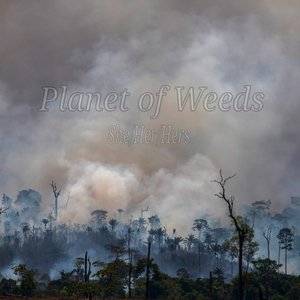 Planet of Weeds EP