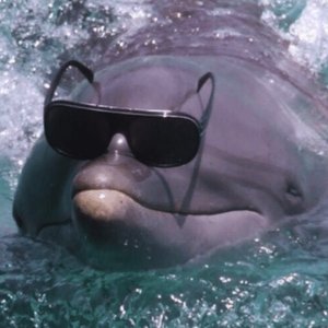 Avatar for NOBK