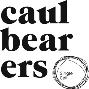 Caulbearers 的头像
