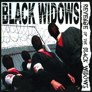 Revenge of the Black Widows