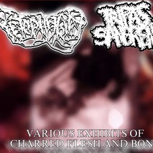 Various Exhibits of Charred Flesh and Bone - Single