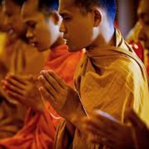 Praise Due 的头像