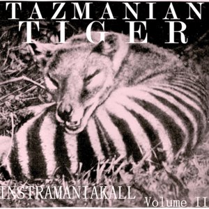 Tazmanian Tiger 的头像