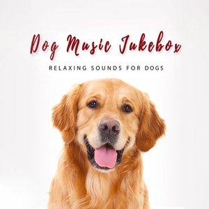 Dog Music Jukebox 的头像