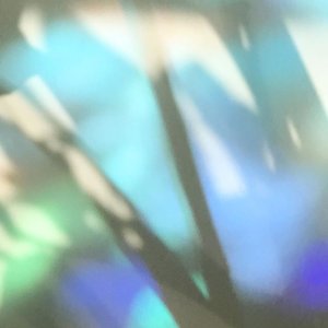 Misgivings