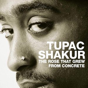 The Rose That Grew From Concrete Volume 1