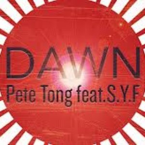 Pete Tong feat. S.Y.F. 的头像