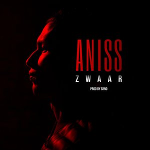 Zwaar - Single