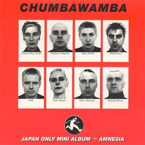 Japan Only Mini-Album - Amnesia