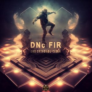 DNc FlR