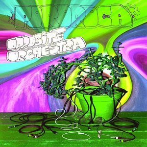 Opposite Orchestra