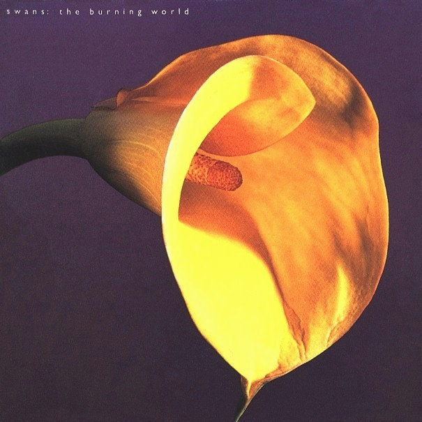 The Burning World cover