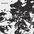 0d6701199a869c442fbd11a07a89d2ed