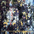 The Tear Garden Для тех, кто прогулялся бы с богами Album Cover