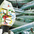 12a5054d2cbe442dc4e804da2b01370a