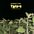 tripq