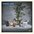 Spin by Tigers Jaw