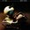 65829ec9a40ad52d5f959762402f16ed