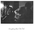 Everything But the Girl - Night and Day