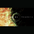 Cover image for Animals as Leaders - CAFO