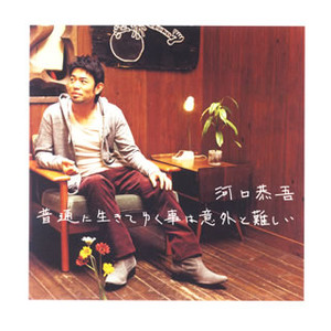 普通に生きてゆく事は意外と難しい cover