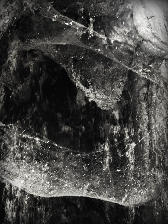 Forebode cover