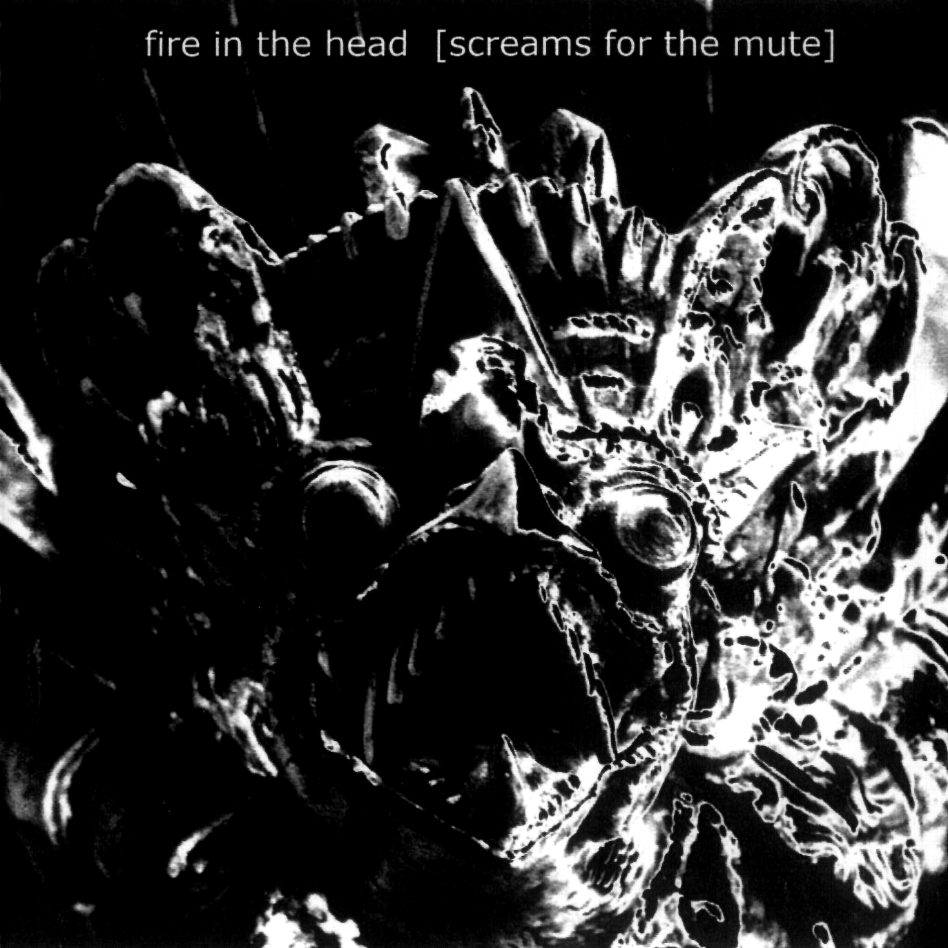 Screams for the Mute cover