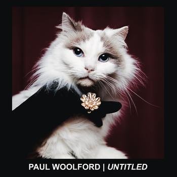 Image of Paul Woolford