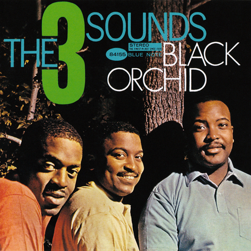 Black Orchid cover