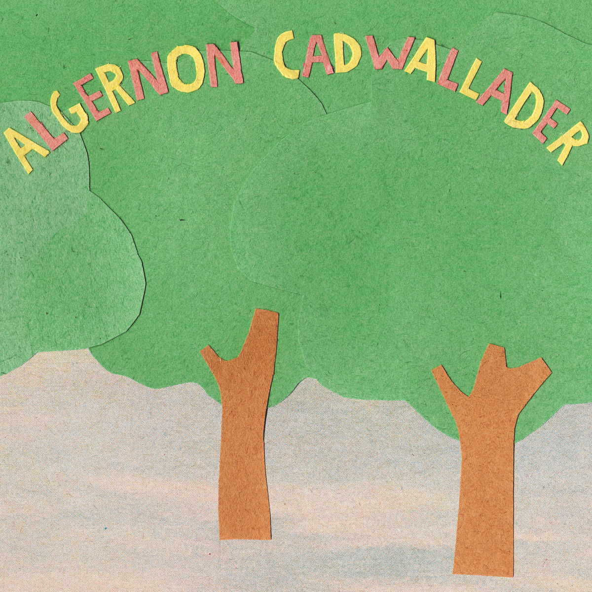 Some Kind of Cadwallader cover