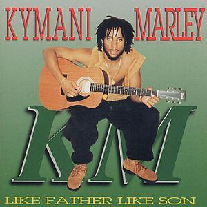Like Father Like Son cover