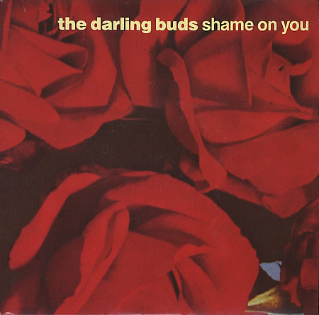 Shame on You cover