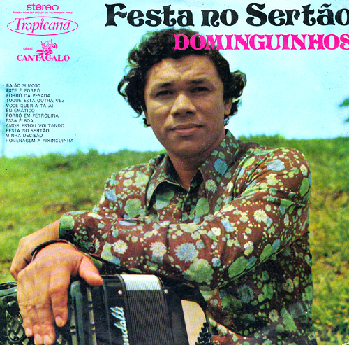 Festa no Sertão cover